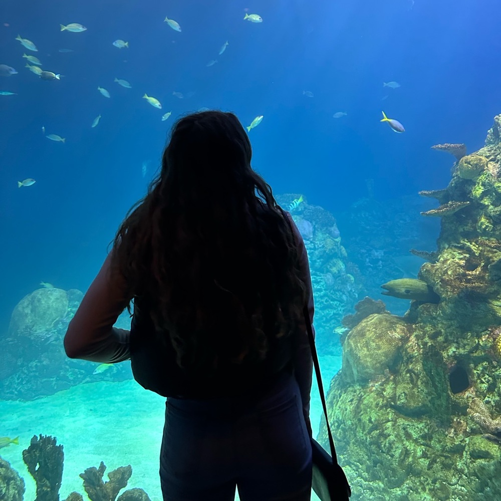 Meet your Posher, Marisha